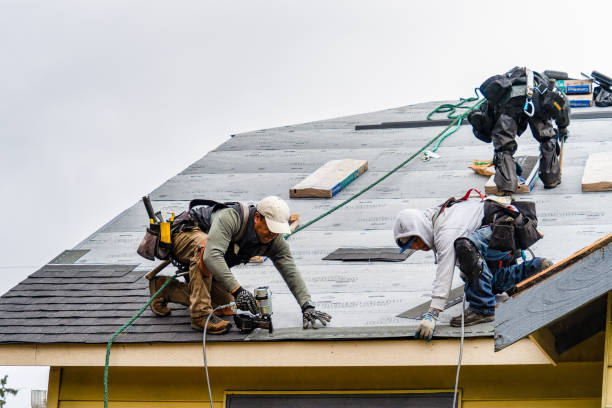 Professional Gutter Installation technician working in Coward, SC